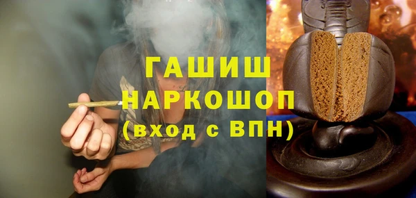 spice Богородицк