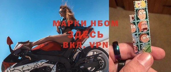 spice Богородицк