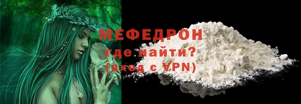 spice Богородицк
