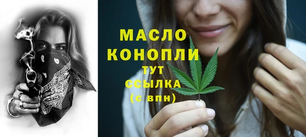 spice Богородицк