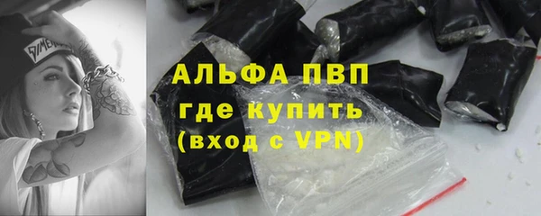 spice Богородицк