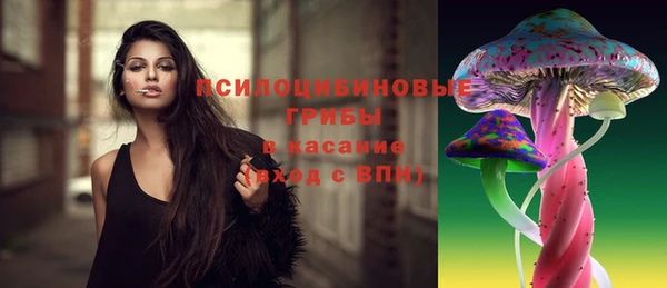 spice Богородицк