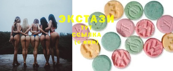 spice Богородицк