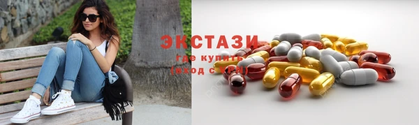 spice Богородицк