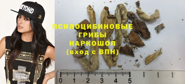 Альфа ПВП Богородск