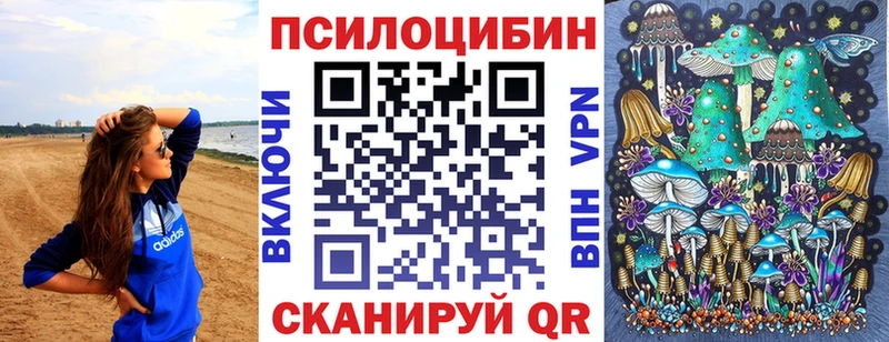 Псилоцибиновые грибы Psilocybe  купить   Видное 