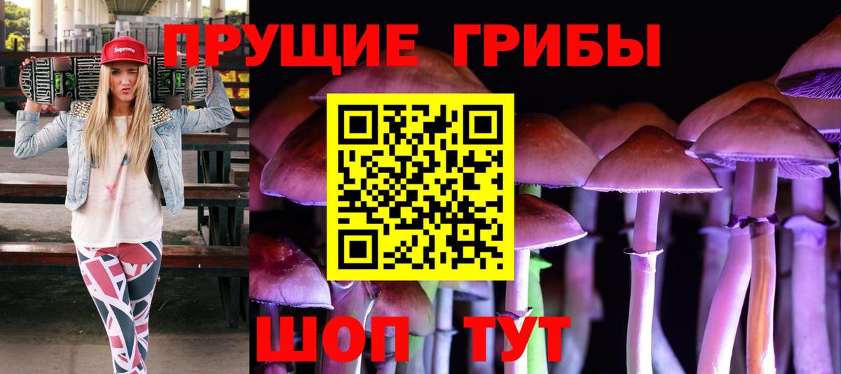 Псилоцибиновые грибы Cubensis  Вход с VPN  Псилоцибиновые грибы ЛСД  Видное 